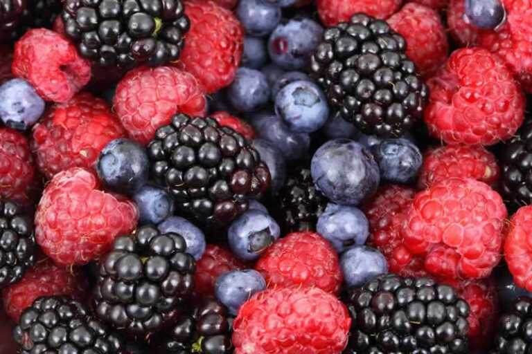 Why You Should Invest in a Juicer