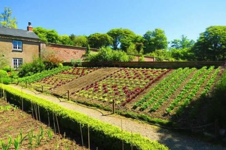 10 Simple Gardening Tips that you can Rely on