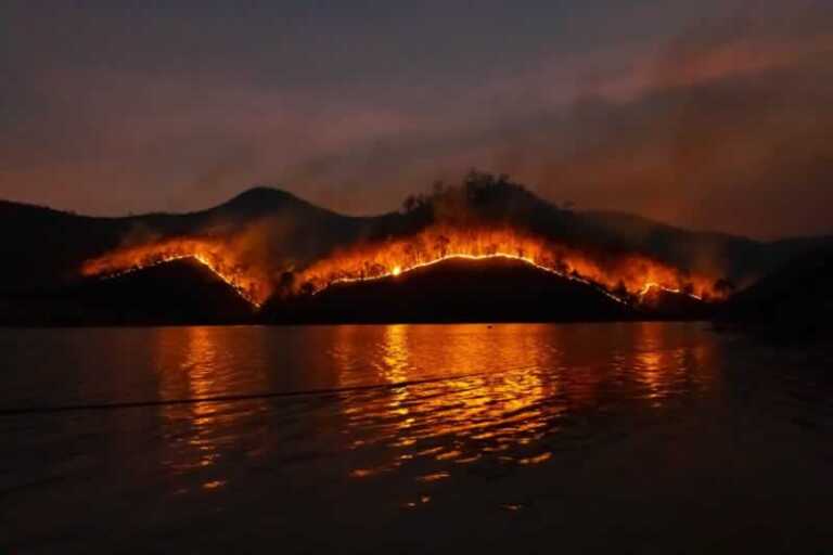 6 Essential Things You Need If You Live in High-Risk Wildfire Areas