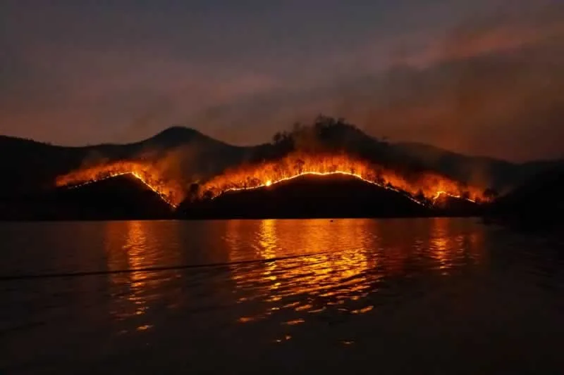 6 Essential Things You Need If You Live in High-Risk Wildfire Areas