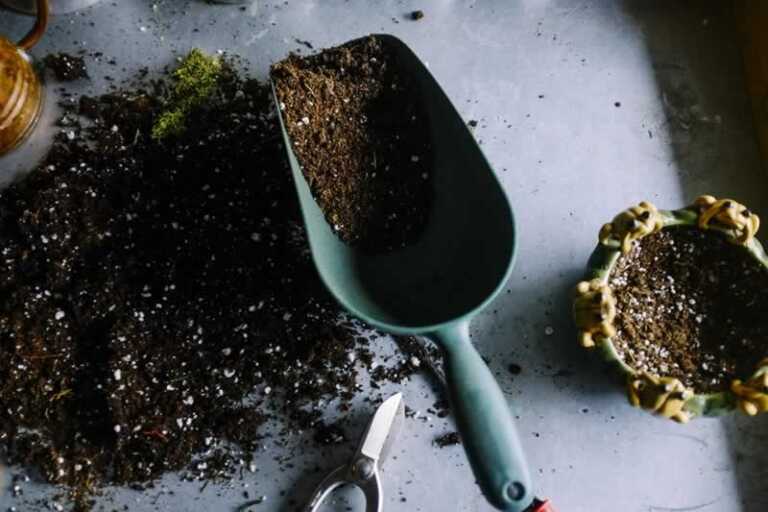 6 Useful Gardening Tools You Need To Have