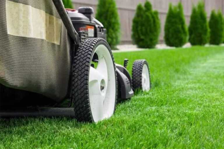 Lawn Mowers 101