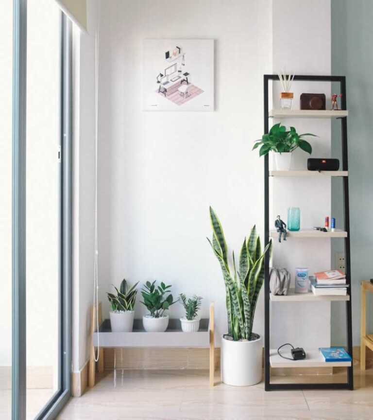 Refurnish Your Interior With Plants Using Those 6 Gorgeous Indoor Ideas