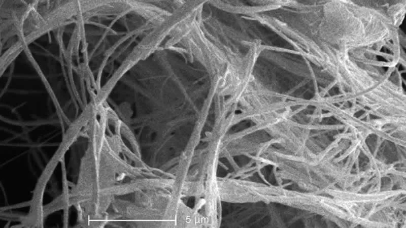 particles of asbestos magnified