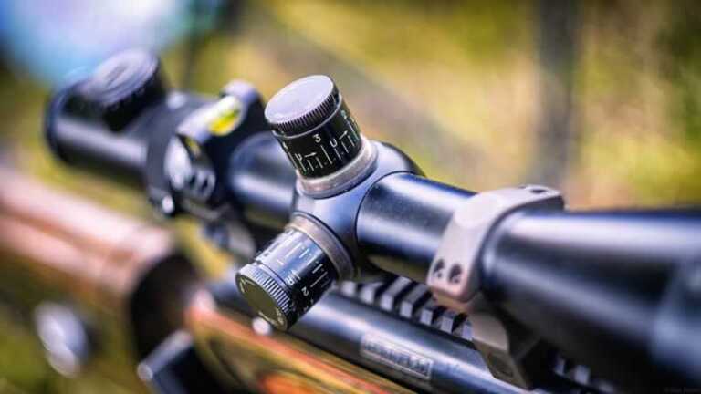 The Best Scopes for 300 Win Mag in 2021