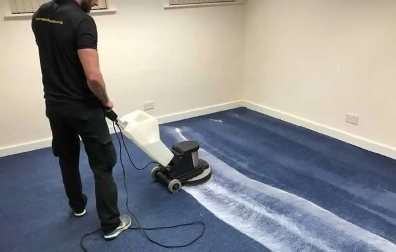 The Professional Carpet Cleaning