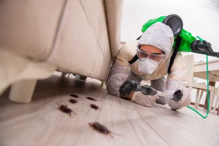 When Is It Time to Get Pest Control