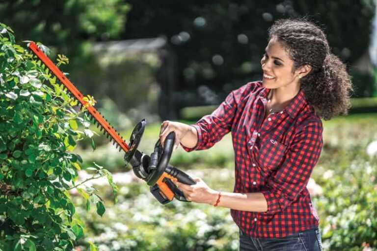 DIY Hedge Trimming At Its Very Best - hedge trimming