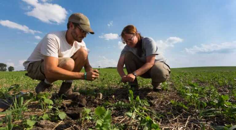 Delving Into Farming
