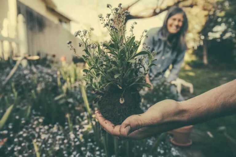 Great Ideas To Completely Transform Your Garden This Spring