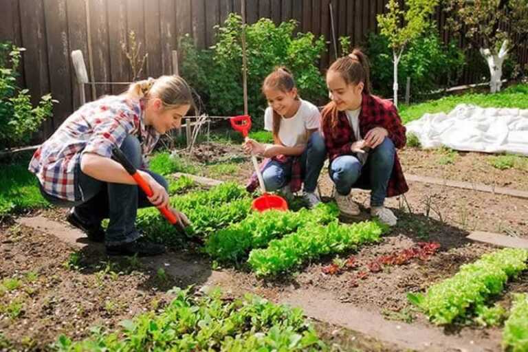 How To Choose The Best Garden Tools