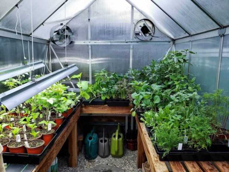 How to Find Suitable Greenhouse Benches