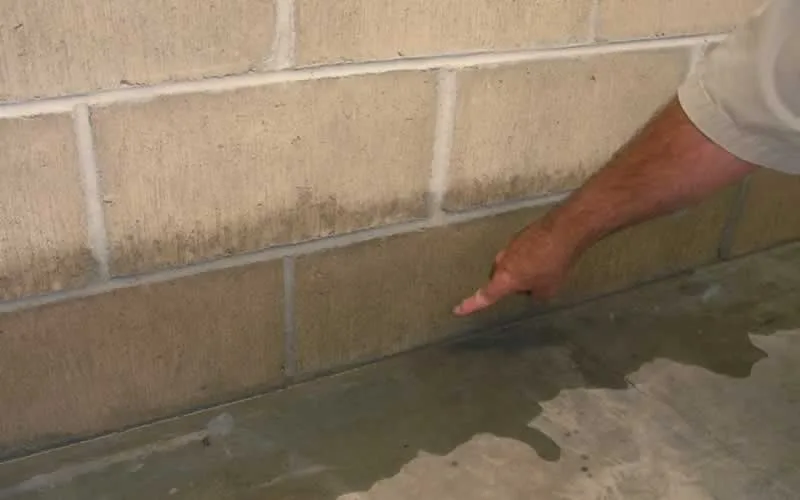Most Common Solutions for Fixing A Wet Basement – Explore Now