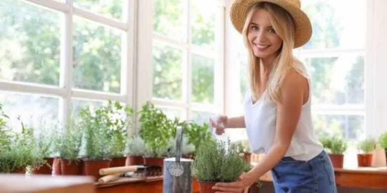 Popular fastest-growing indoor plants for beginners