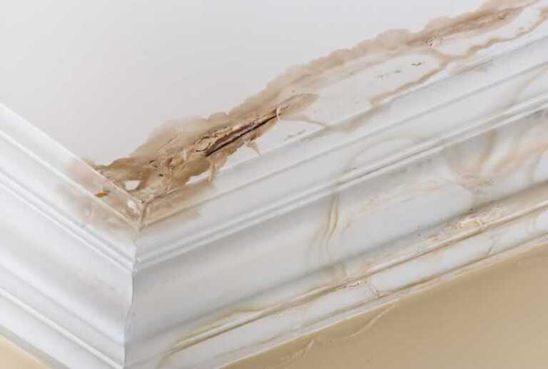What to Do When You Find Water Damage