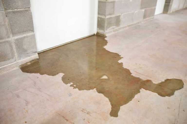 6 Signs Your Home Sewer Line Is Failing