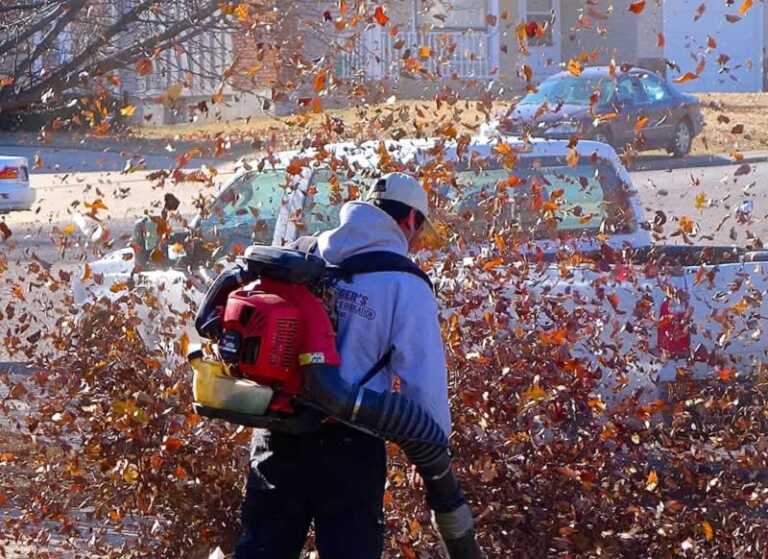 Are Leaf Blowers a Threat to Your Car