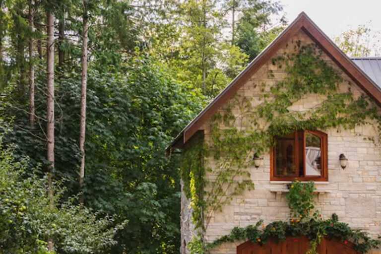 Easy Ways To Go Green At Home