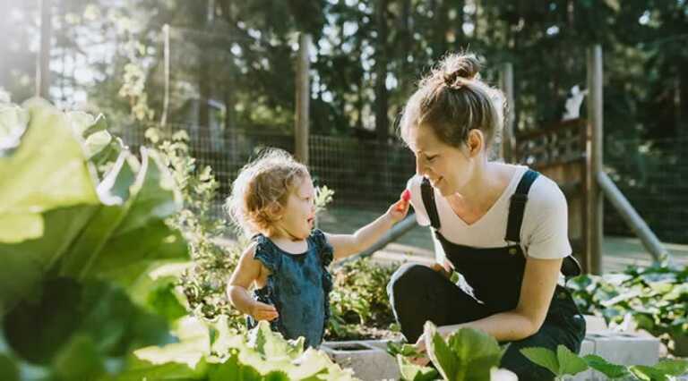 Health Benefits of Gardening
