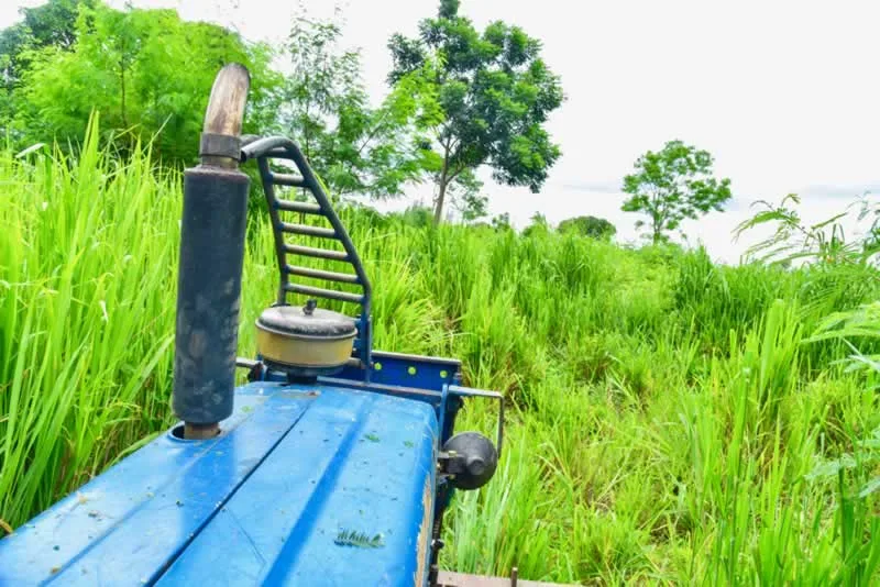 How To Clear Overgrown Land The Easy Way