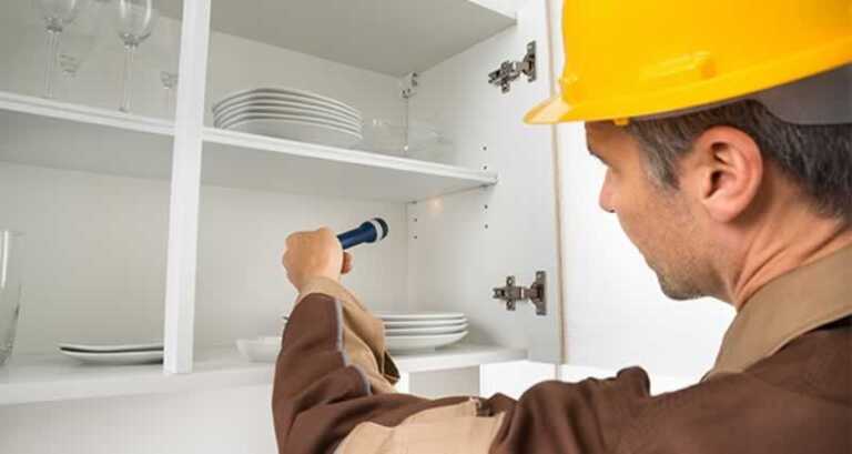 How To Detect And Get Rid Of Pests in Malaysia Homes