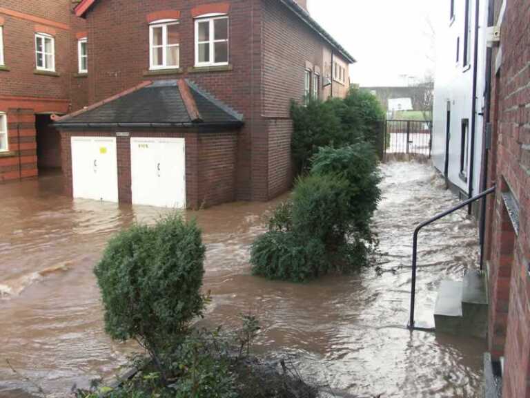 Professional standing water removal services after the storm