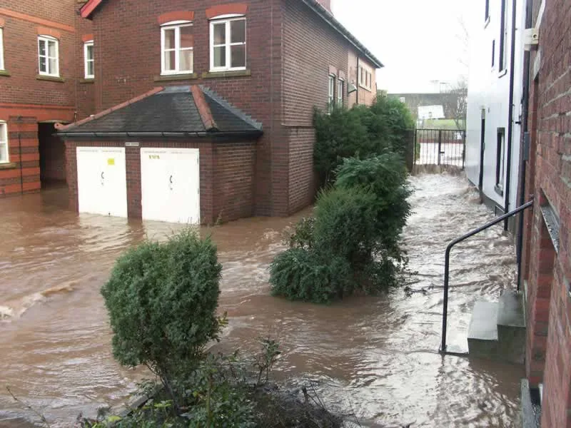 Professional standing water removal services after the storm