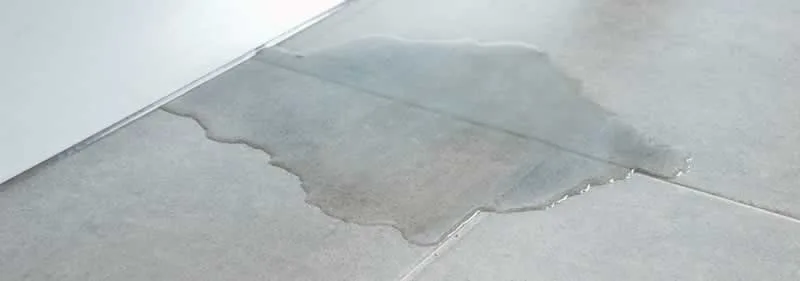 Trace and Access