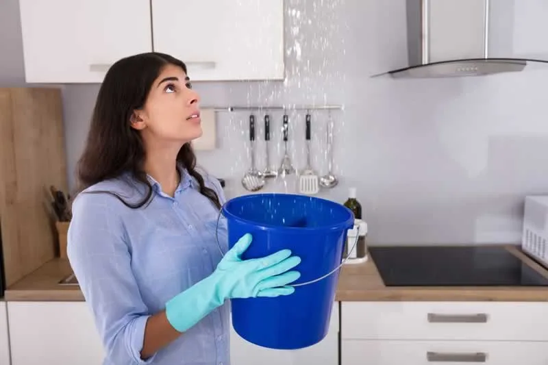 3 Reasons Your Roof May Be Leaking