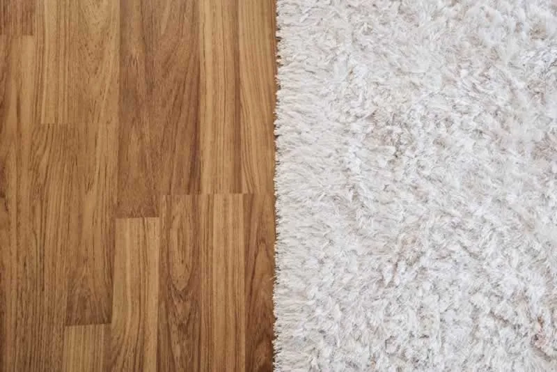 Carpet or Hardwood