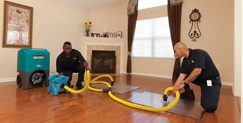 How A Water Damage Company Can Help You Have A Safe and Secured  Home - drying