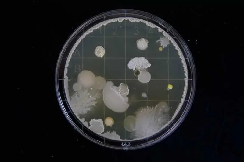 How Clean is your Tap Water