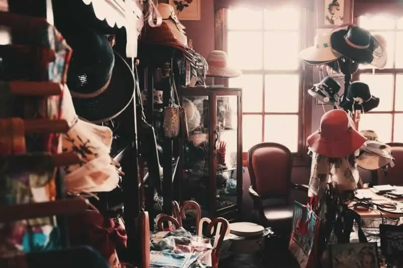 How To Clean Your House And Organize Your Things Properly