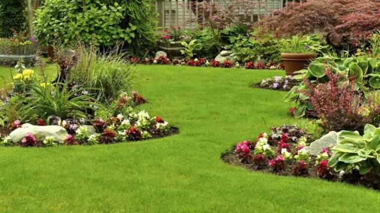 How to Hire the Best Landscaping Design Company In Reno