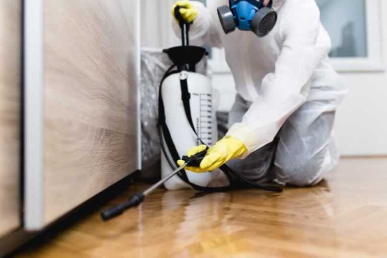 10 Reasons You Need to Call Pest Control