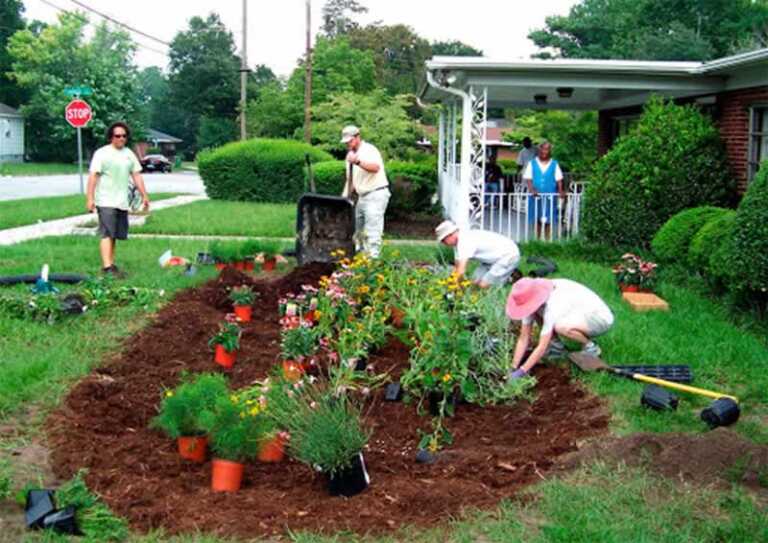 Garden Installation for the Best Gardens