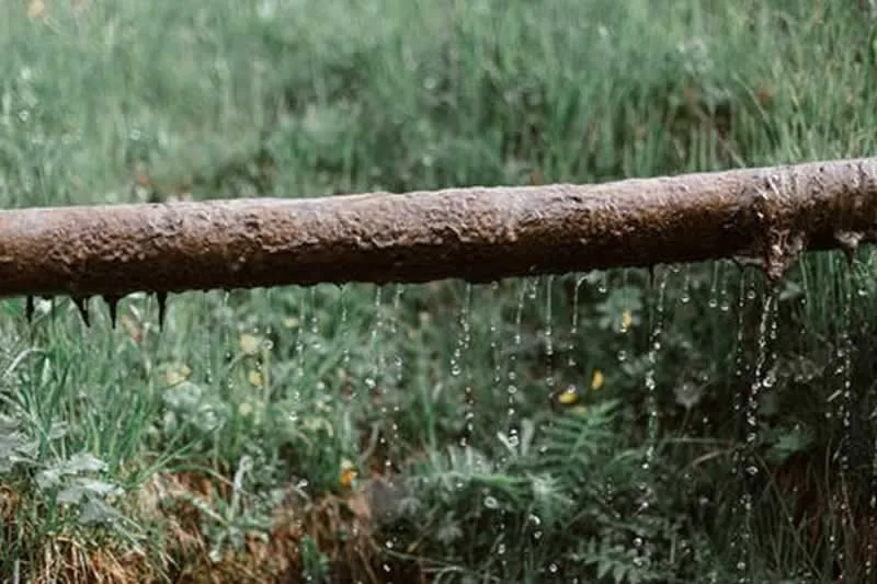 How Drain Repair And Pipe Relining Can Help Reduce Risk