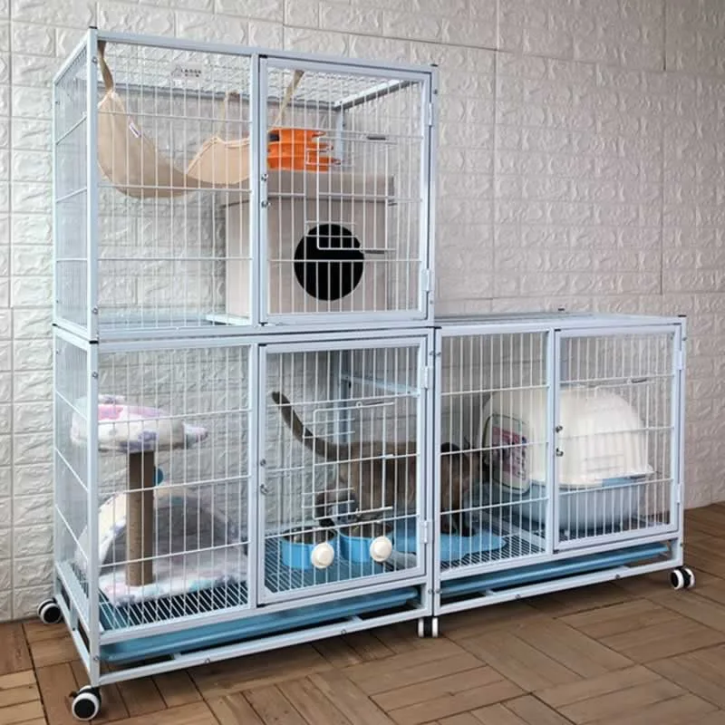 How long can a cat remain in an indoor cage