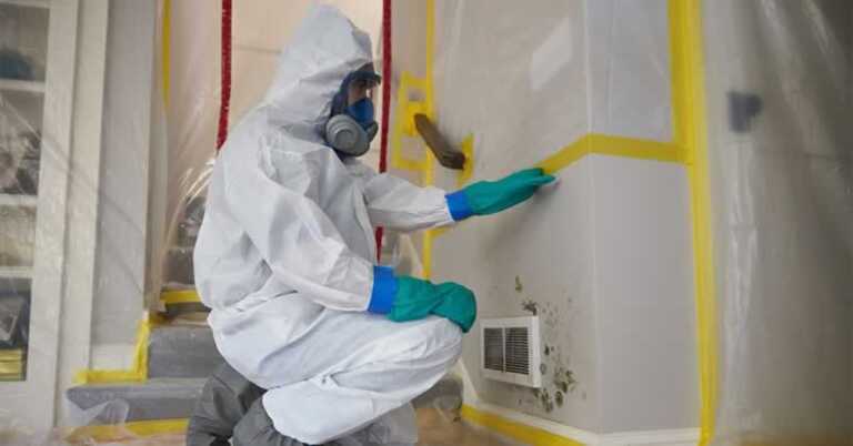 Important Tips for Mold Remediation