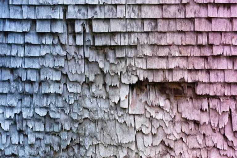 Roof Maintenance Do's and Don'ts According to the Experts