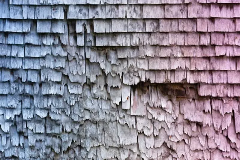 Roof Maintenance Do's and Don'ts According to the Experts