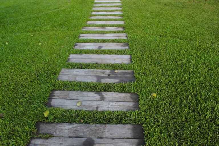 Useful DIY Landscaping Tips From the Pros