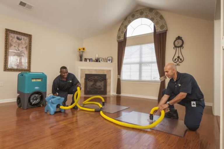4 Steps of Every Water Mitigation Process