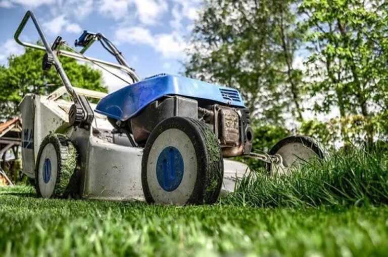 6 Landscaping Tips That'll Totally Transform Your Front Yard