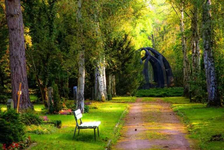 amazing park