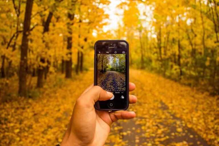 7 Pro Tips to Take Better Pictures with Ease