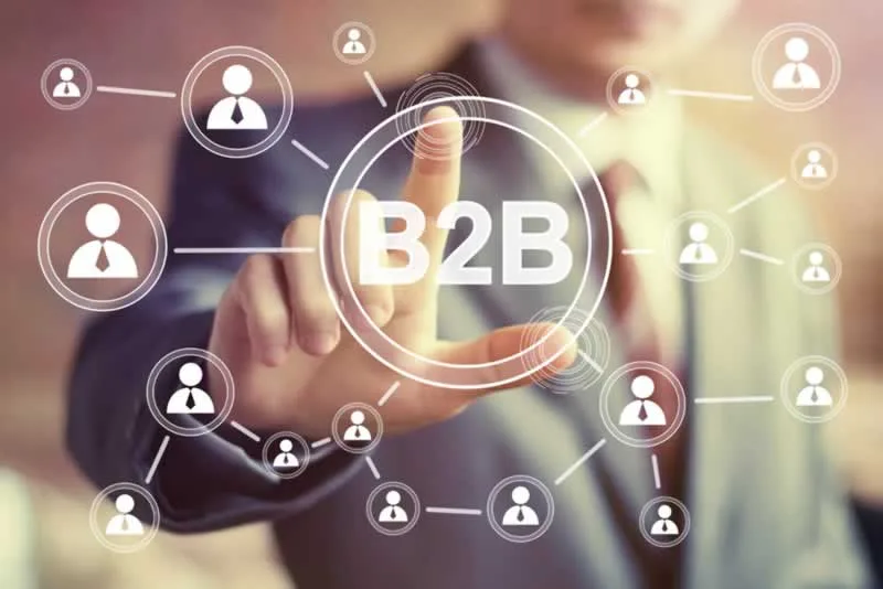 Competitive SEO Analysis for B2B