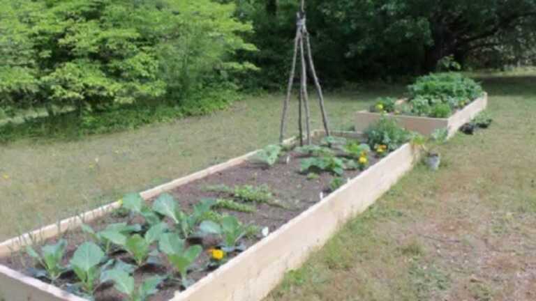 The Benefits of Going for a DIY Lasagna Gardening