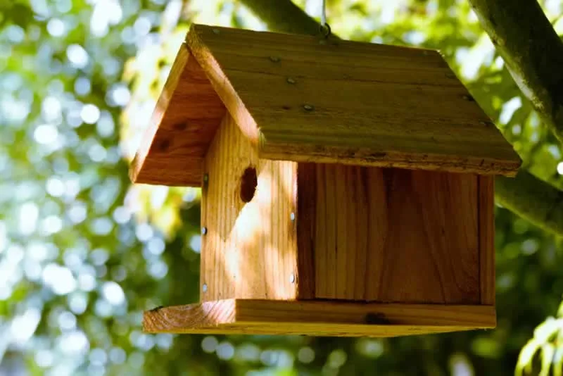 Understanding the Benefits of Having a Birdhouse