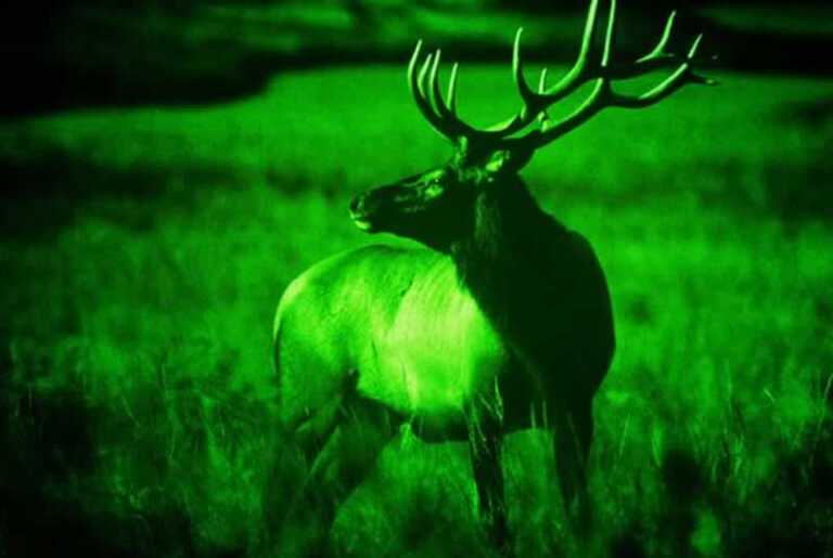 What is a Night Vision Device